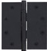 Black hinge