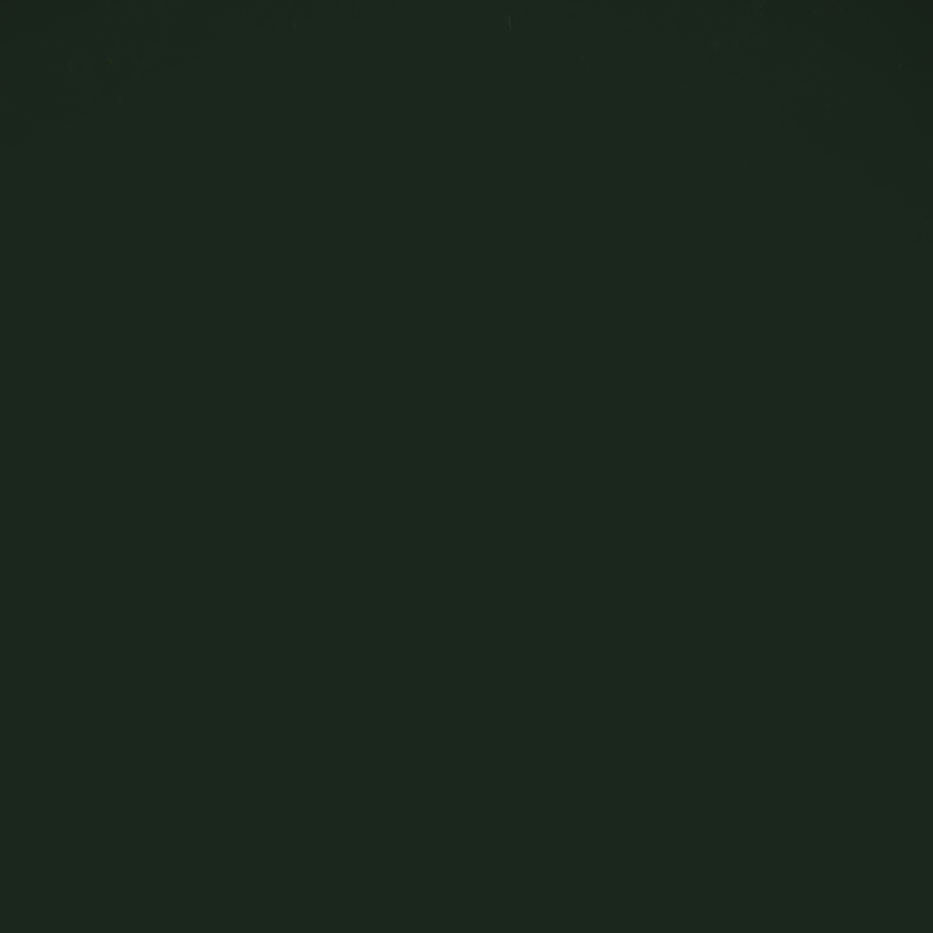 Bonneville green 